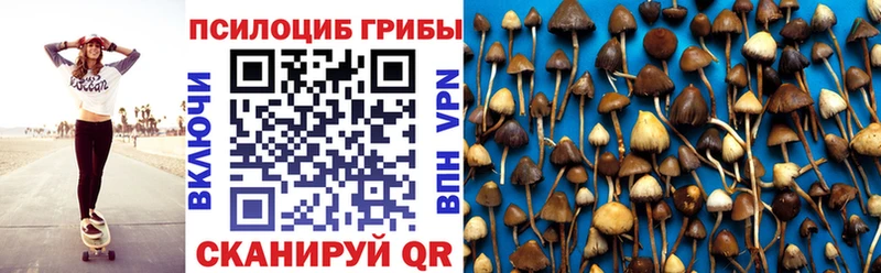 цены   Щигры  Псилоцибиновые грибы ЛСД 